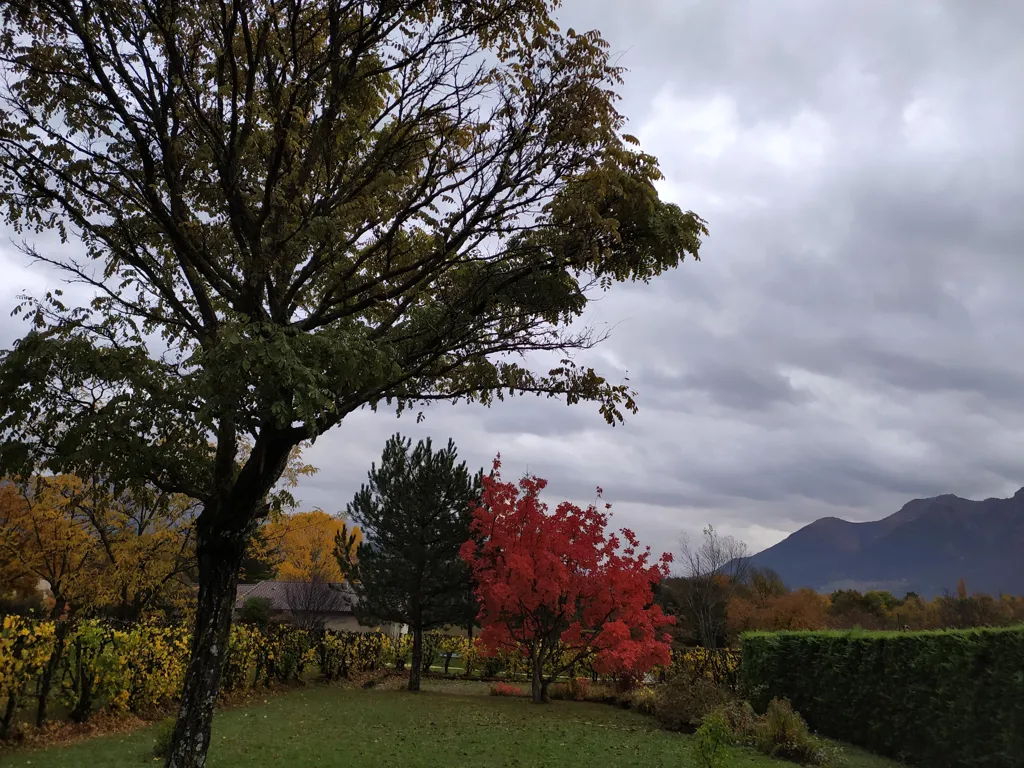 Jardin - Maison de Plain Pied avec Vue Montagne à Glandasse