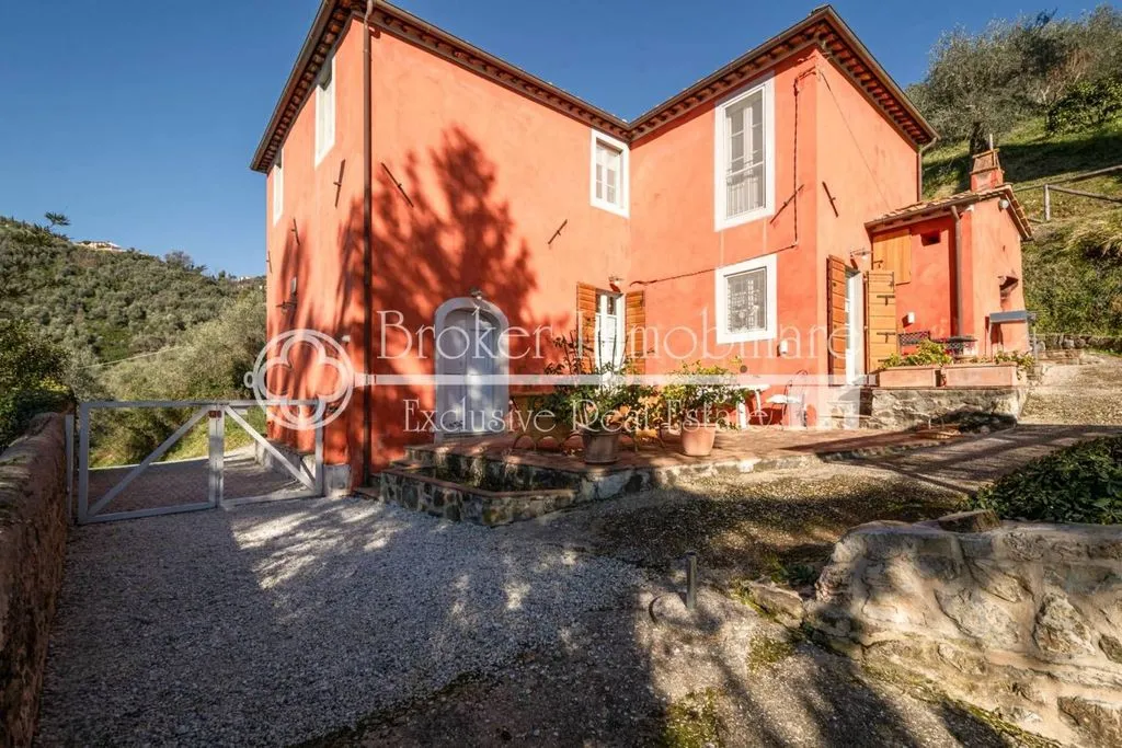 Exterior - Rustic Villa with Olive Grove in Massarosa
