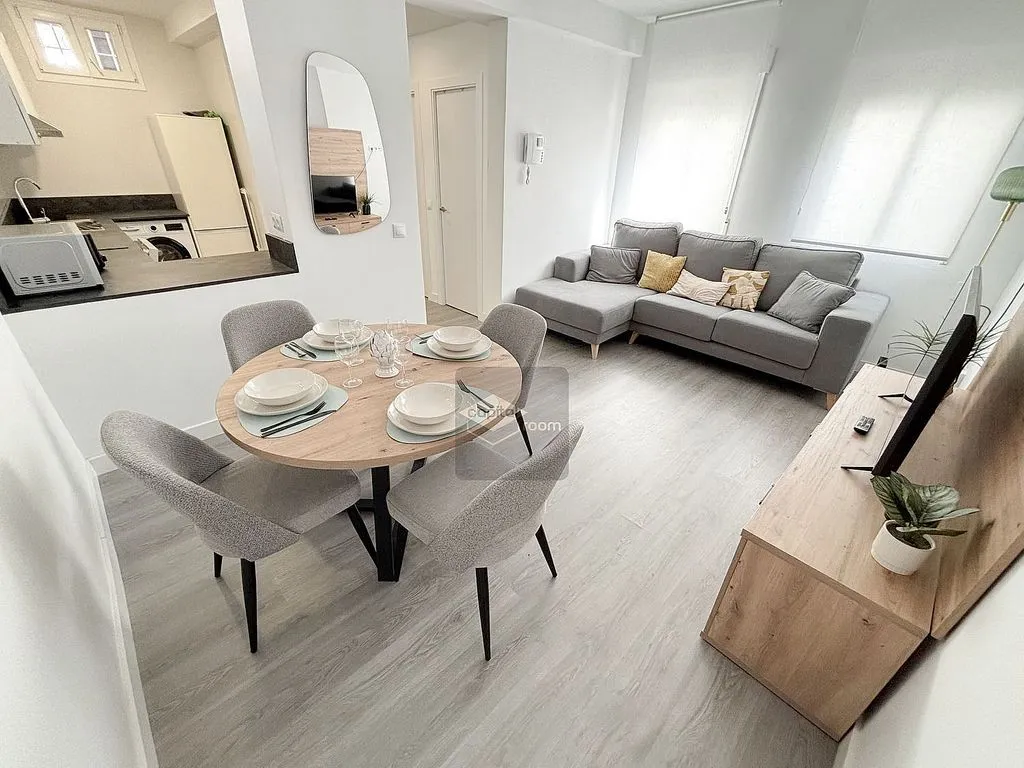 Fully Furnished Flat in Recoletos, Madrid