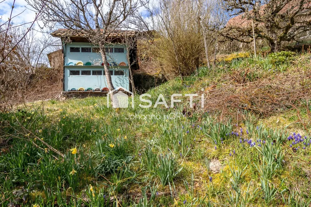 Aed - Bifamilial House with Garden in Fellering