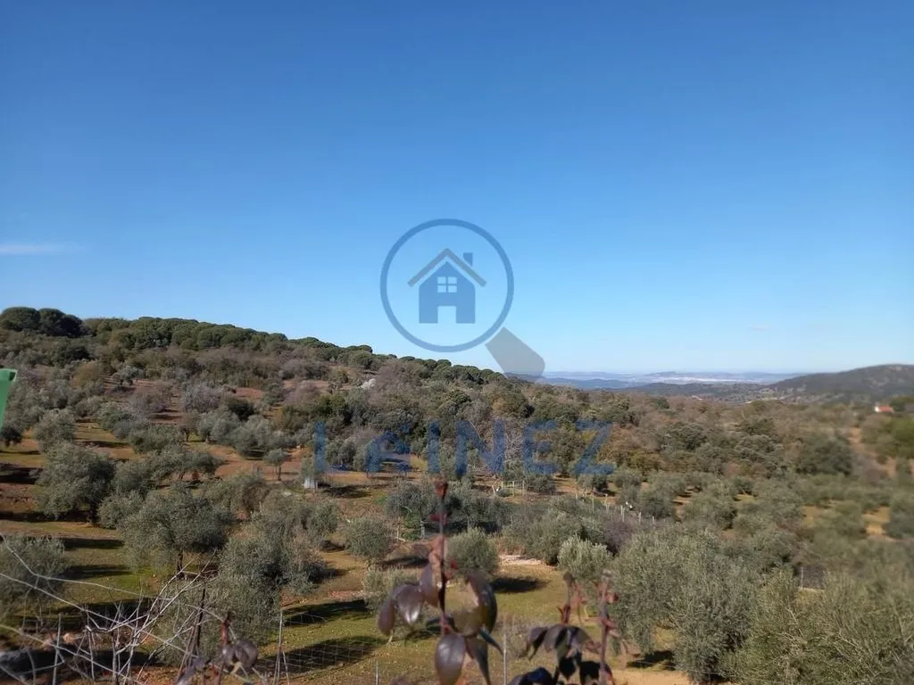 Jardin - Country House with Mountain Views in Villanueva del Rey