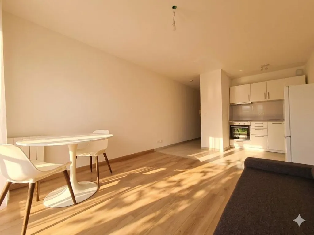 Living Room - 1-room apartment in Noisy-le-Grand