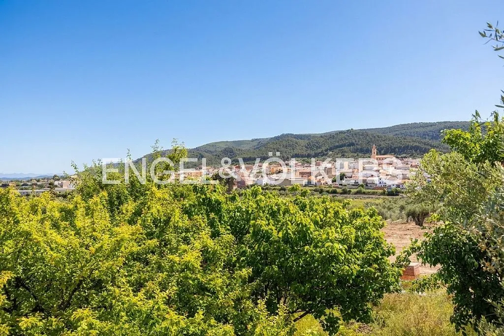 Equestrian Estate with Pool in Enguera