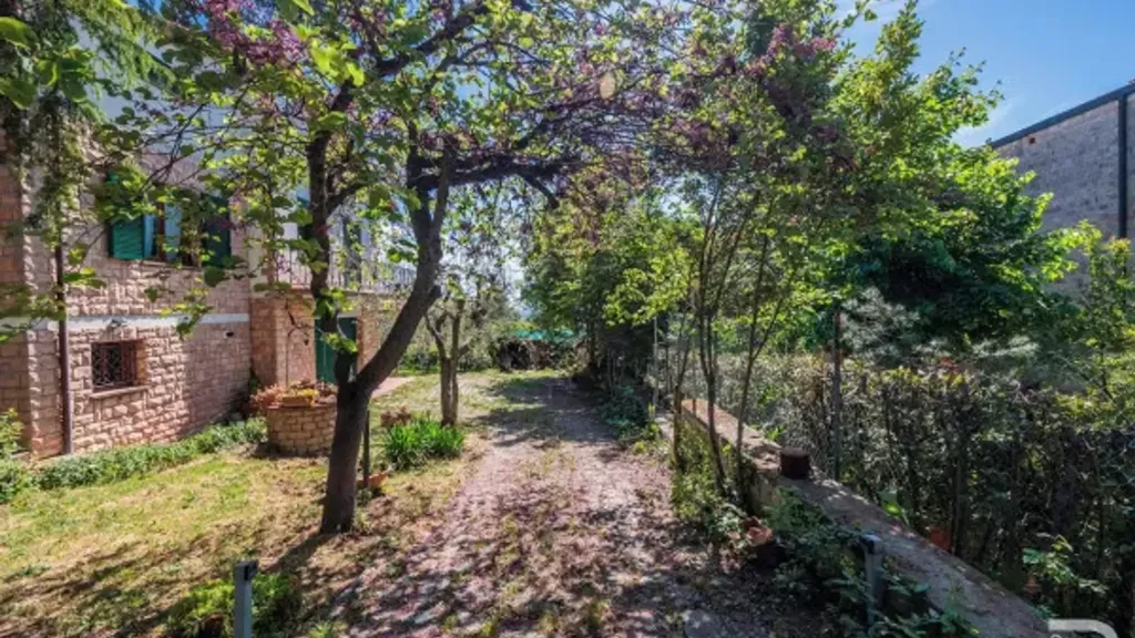 Aed - Luxury Villa with Olive Garden in Sinalunga