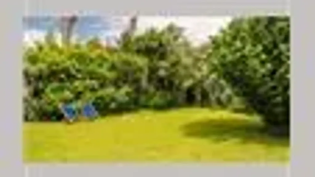 Giardino - Villa with Garden in Forte Dei Marmi