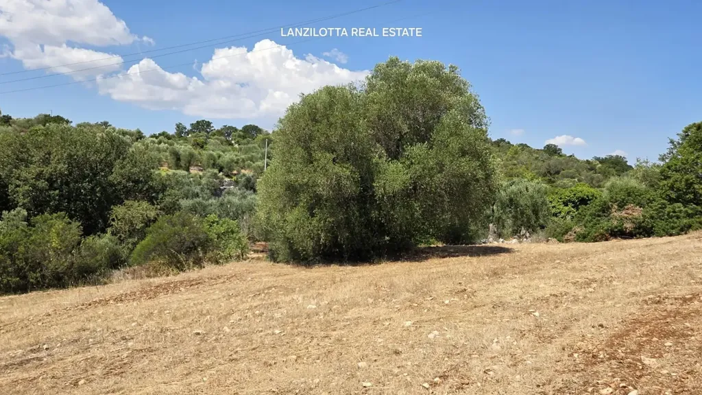 Jardin - Trullo Complex for Renovation in Cisternino