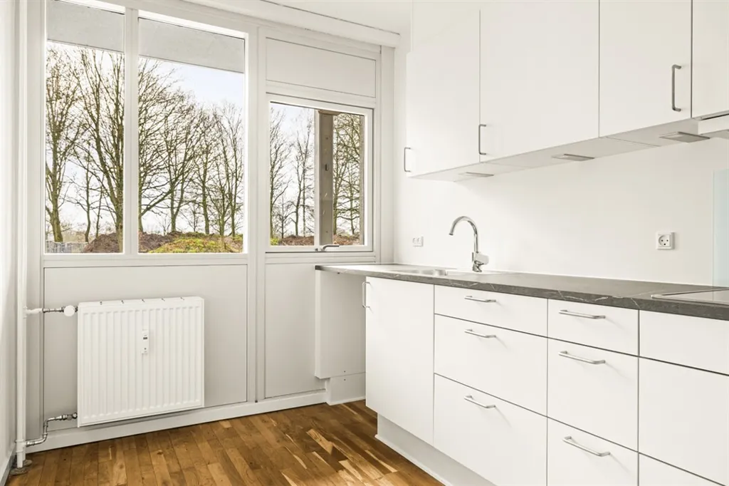 Cuisine - 1-Bedroom Apartment with Balcony in Odense NØ