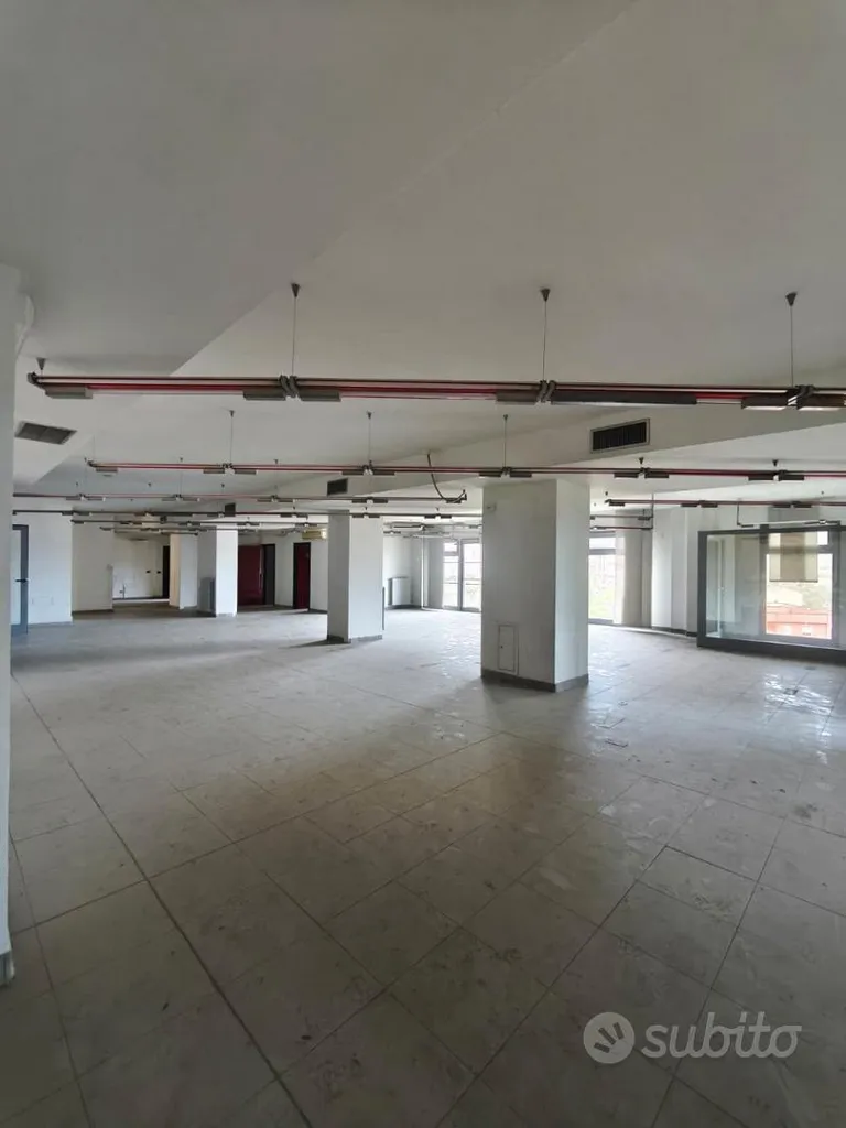 Toad - Ex Bank Office in Nuoro's Centre