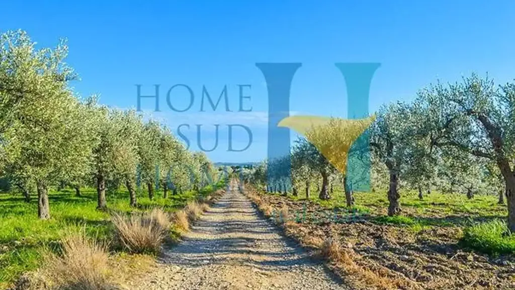 Garden - Villa with Olive Grove in Noto