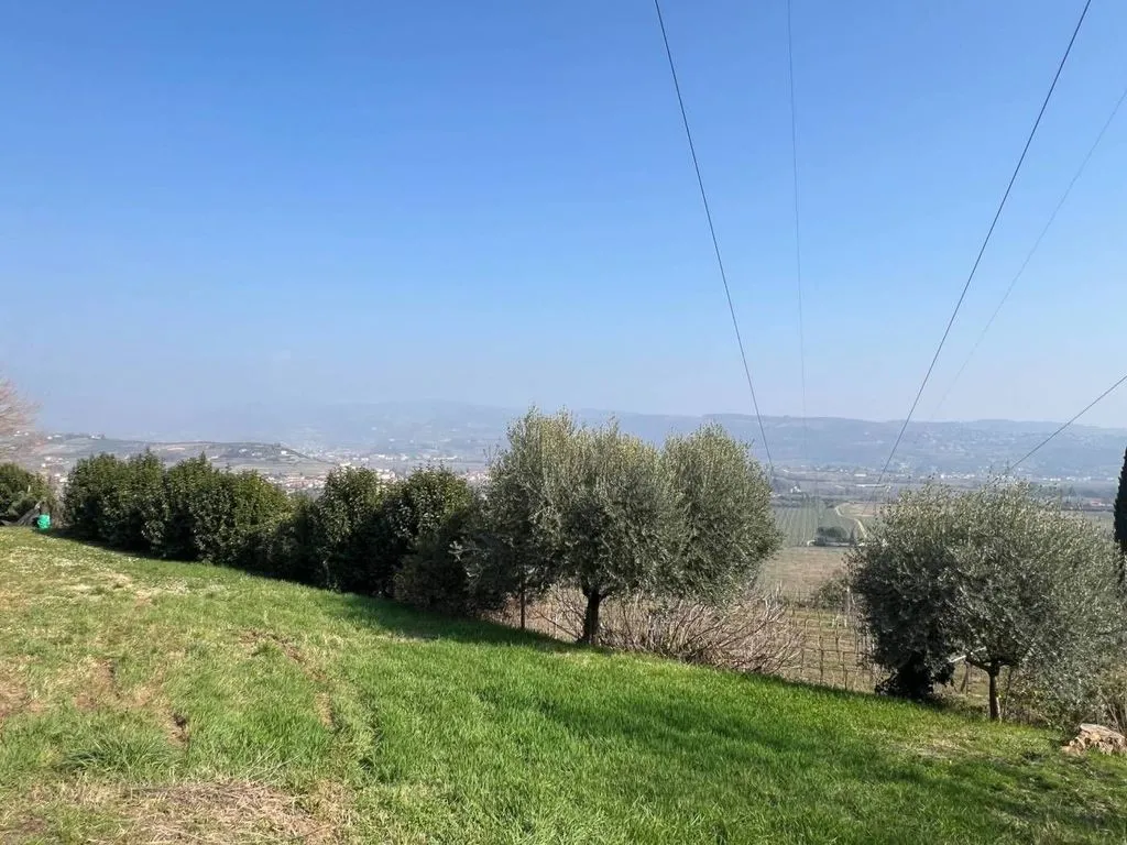 Jardin - Rustic House with Panoramic Views in San Pietro in Cariano