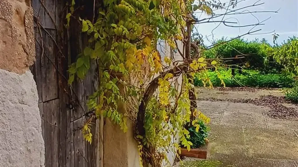Aed - Rustic Casale with Garden in Sciacca