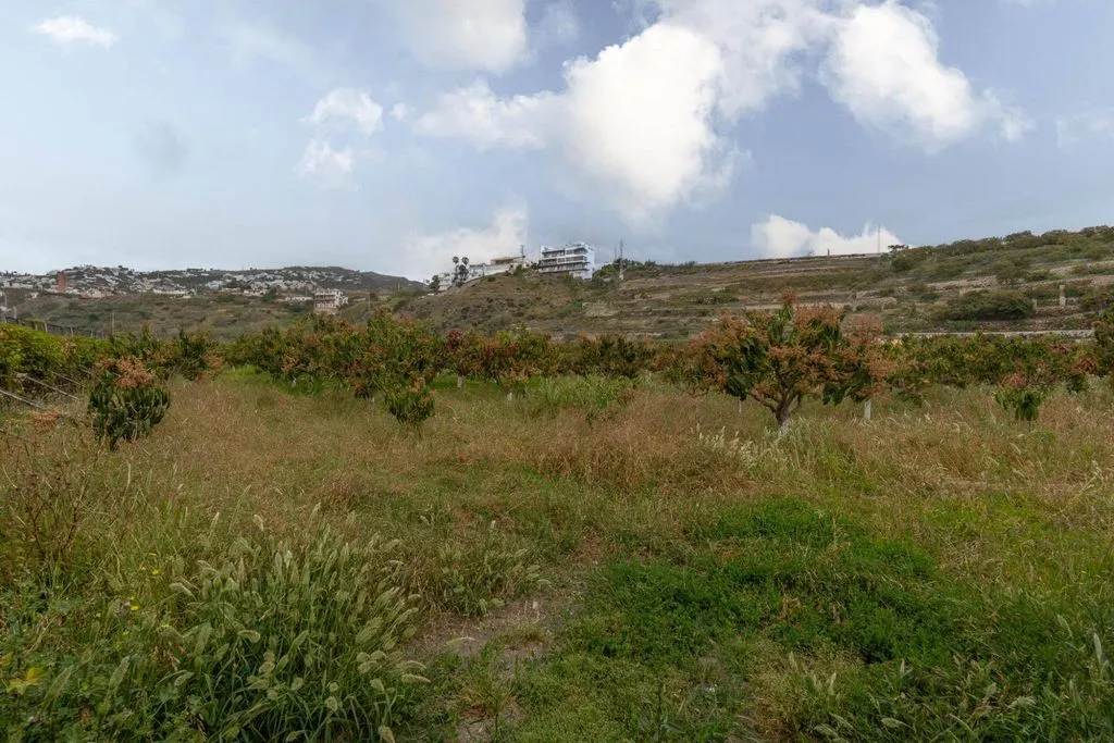 Aed - Development Land with Sea View in Salobreña