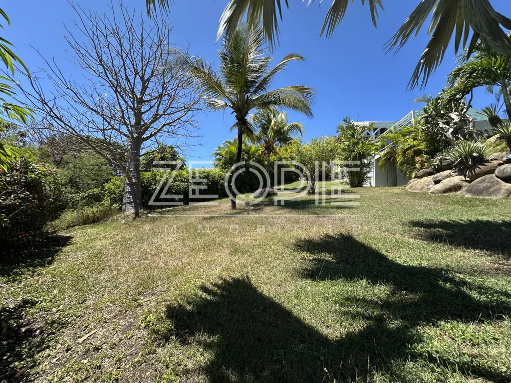 Jardin - Villa d'Architecte avec Piscine à Saint-François