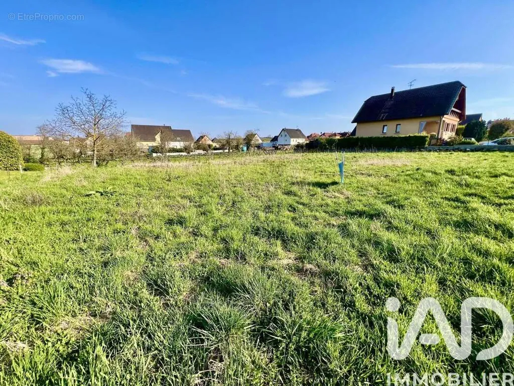 Aed - Buildable Land with Full Exposure in Pfaffenheim