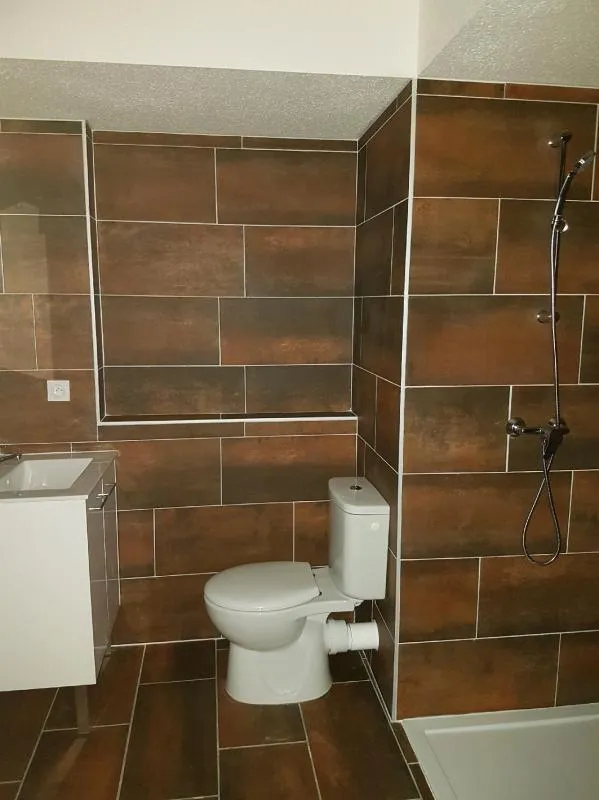 Salles de bain - Appartement T1 Meublé près de la Fac à Lyon
