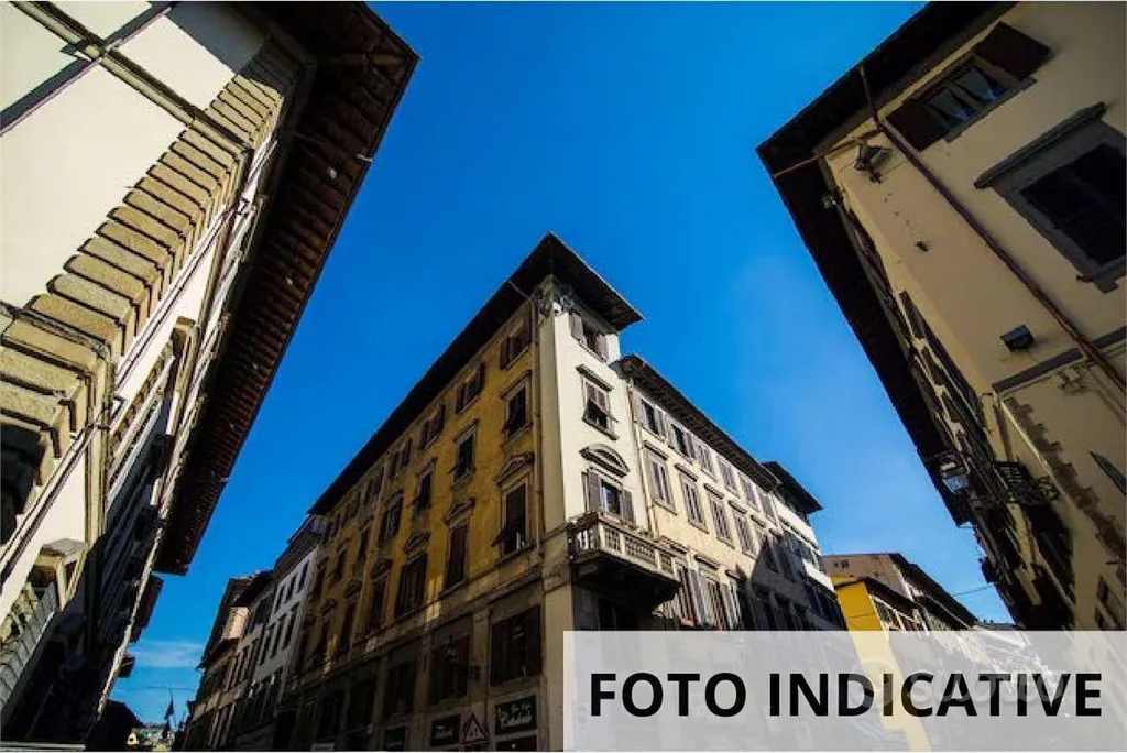 Apartment with Terraces in Gorizia