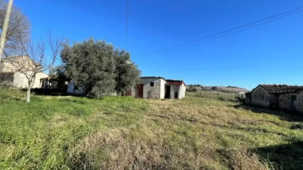 Garden - Rustic Farmhouse to Renovate in Trecastelli