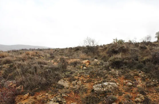 Aed - Large Agricultural Plot in Tordellego, Guadalajara