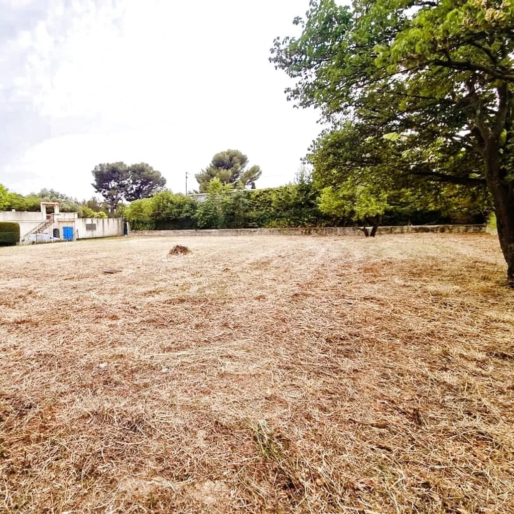 Jardin - Terrain Plat en Exclusivité à Marseille