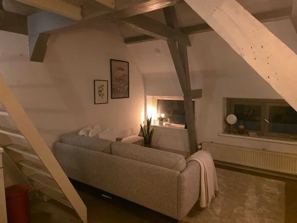 Living Room - Apartment with City Centre Access in Utrecht
