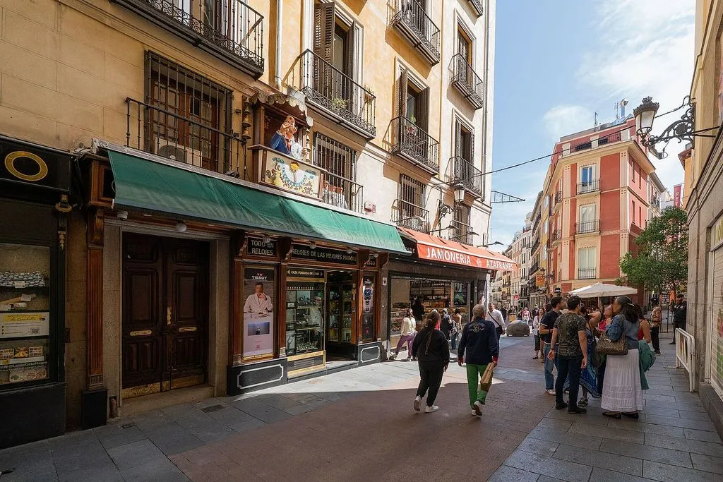 Furnished Flat with Historic Charm in Madrid