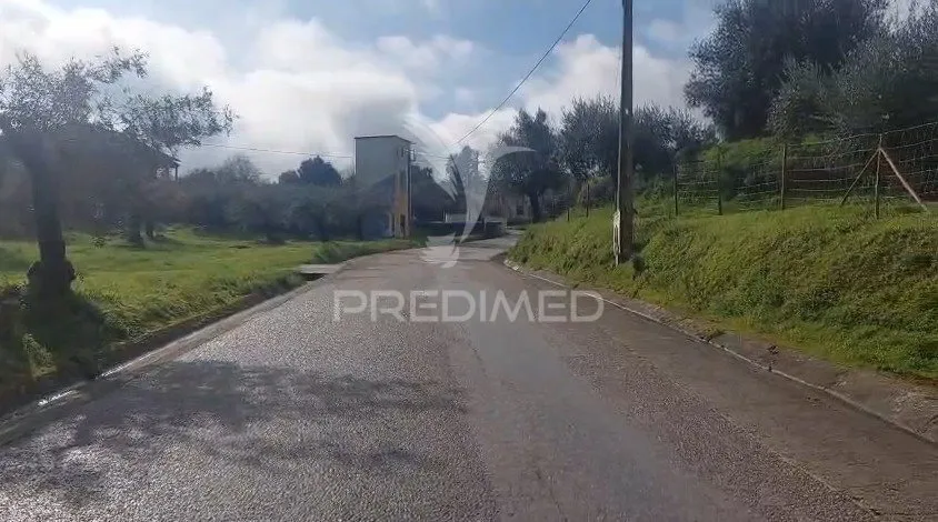Extérieur - Rural Plot with Olive Trees in Lapinha, Praia do Ribatejo