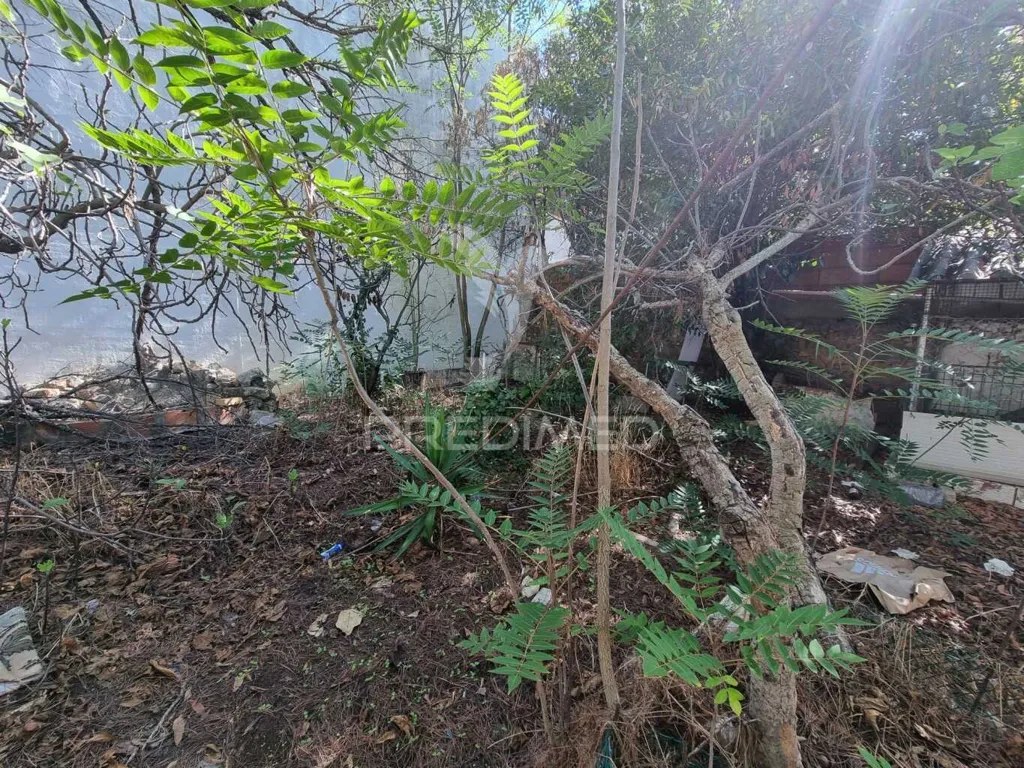 Aed - Buildable Plot with Ruin in Loulé