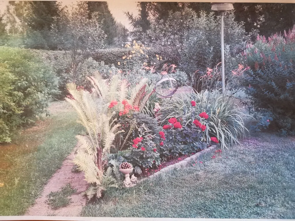 Aed - Detached House with Garden in Joensuu