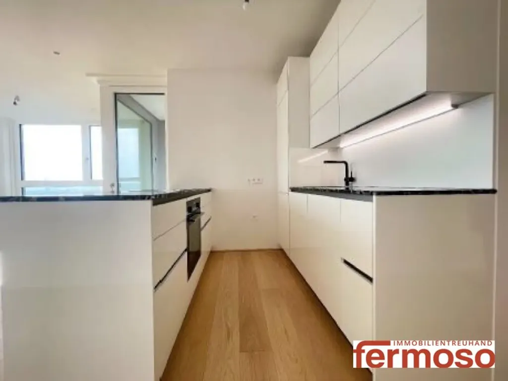 Köök - Luxury Penthouse with Rooftop Pool in Donaustadt