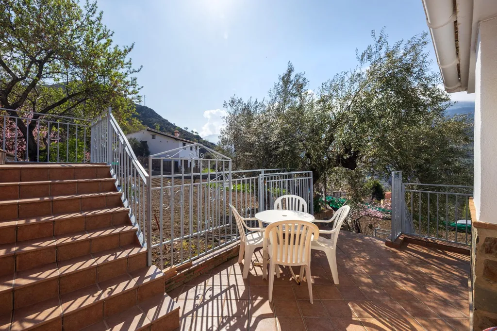 terrace_patio
