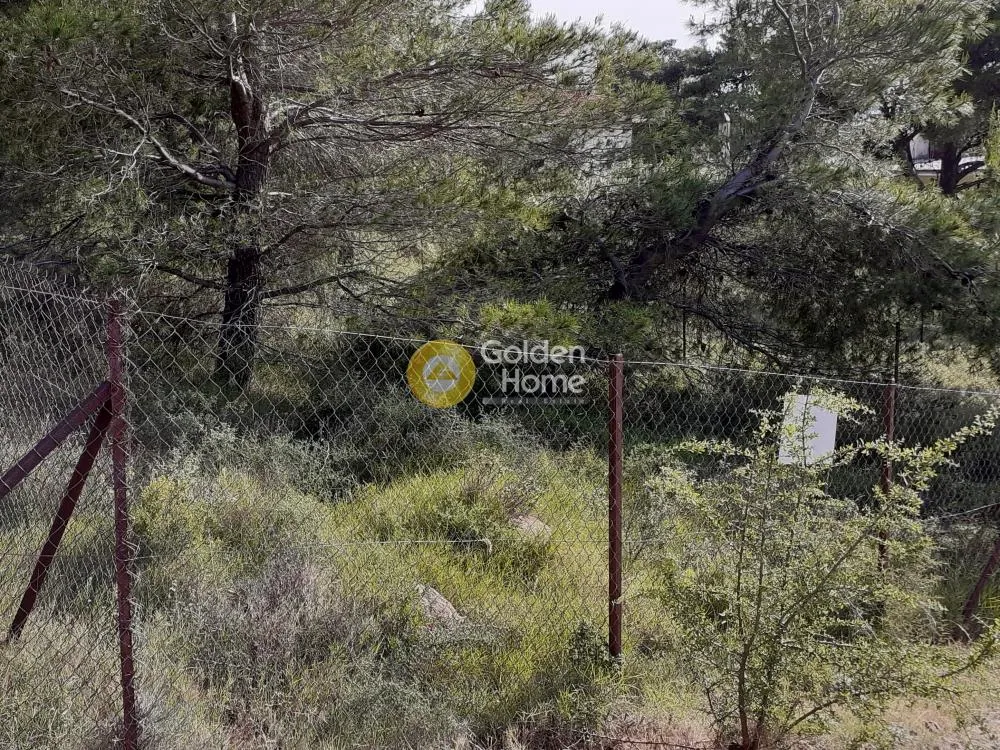 Aed - Plot with Mountain View in Ano Liosia
