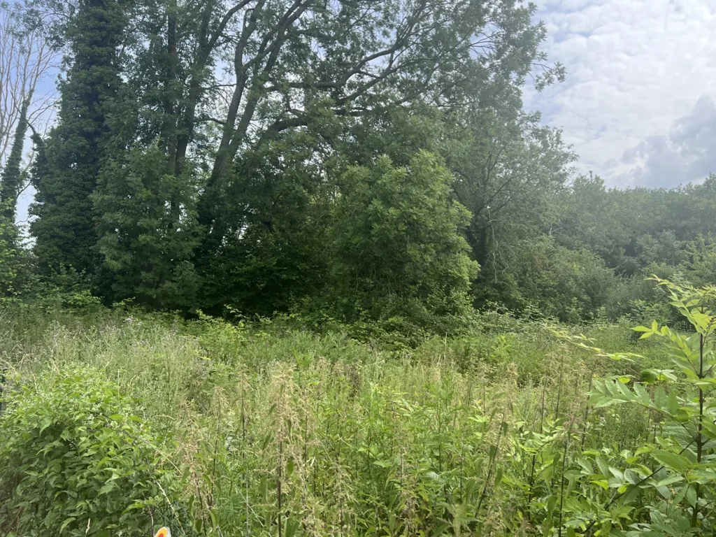 Jardin - Terrain à Bâtir avec Vue Dégagée à Bethemont-la-Forêt
