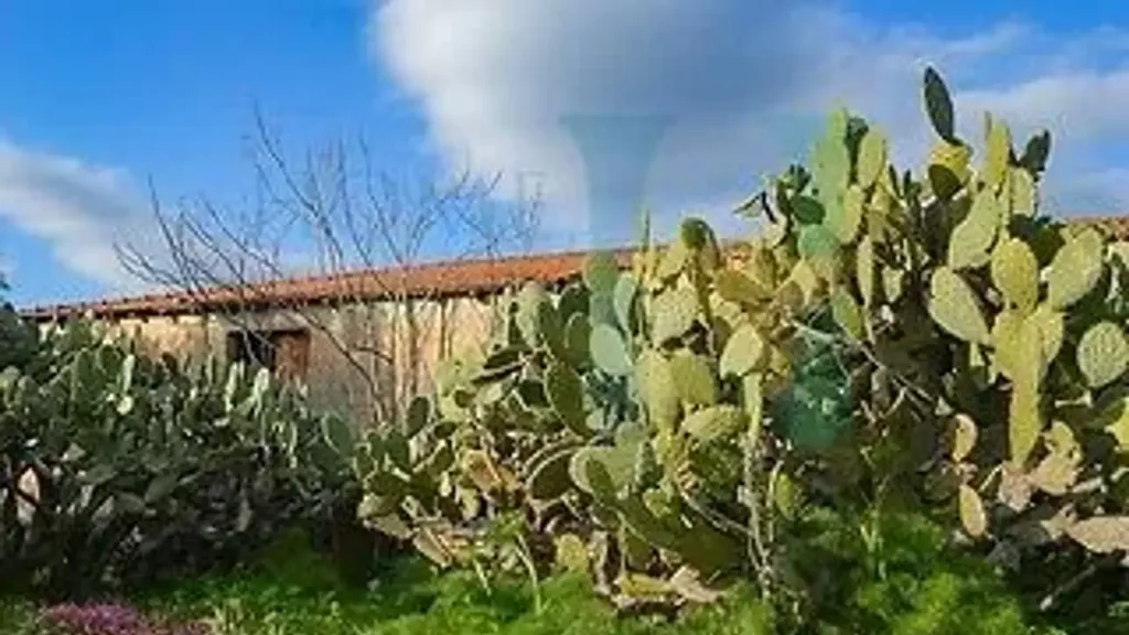 Extérieur - Baglio-Style Property with Natural Views in Noto