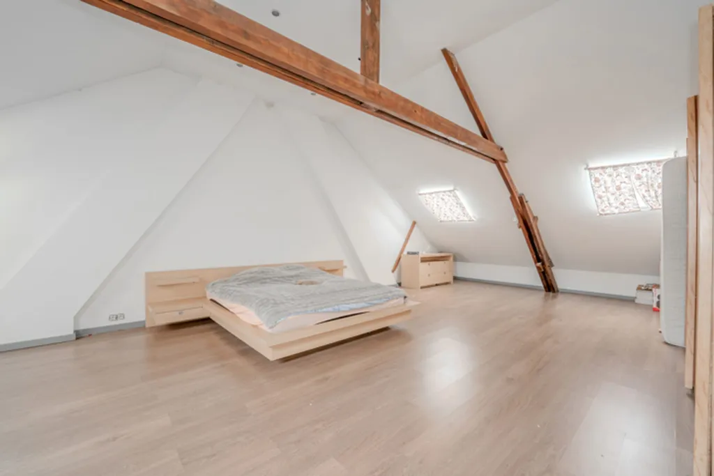 Toad - Spacious 3-Faced House with Terrace in Morlanwelz