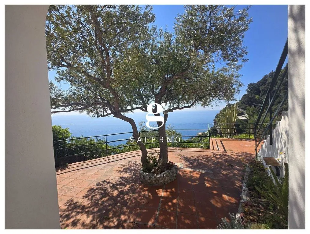 terrace_patio