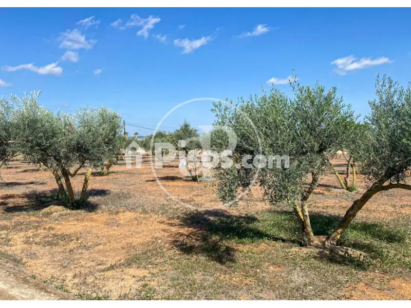 Aed - Modern Villa with Pool near Llucmajor