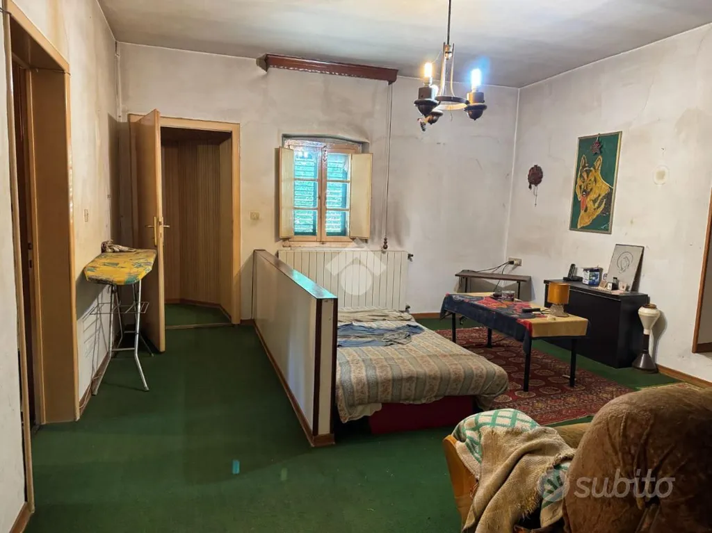 Magamistoad - Rustic House with Olive Grove in Buggiano