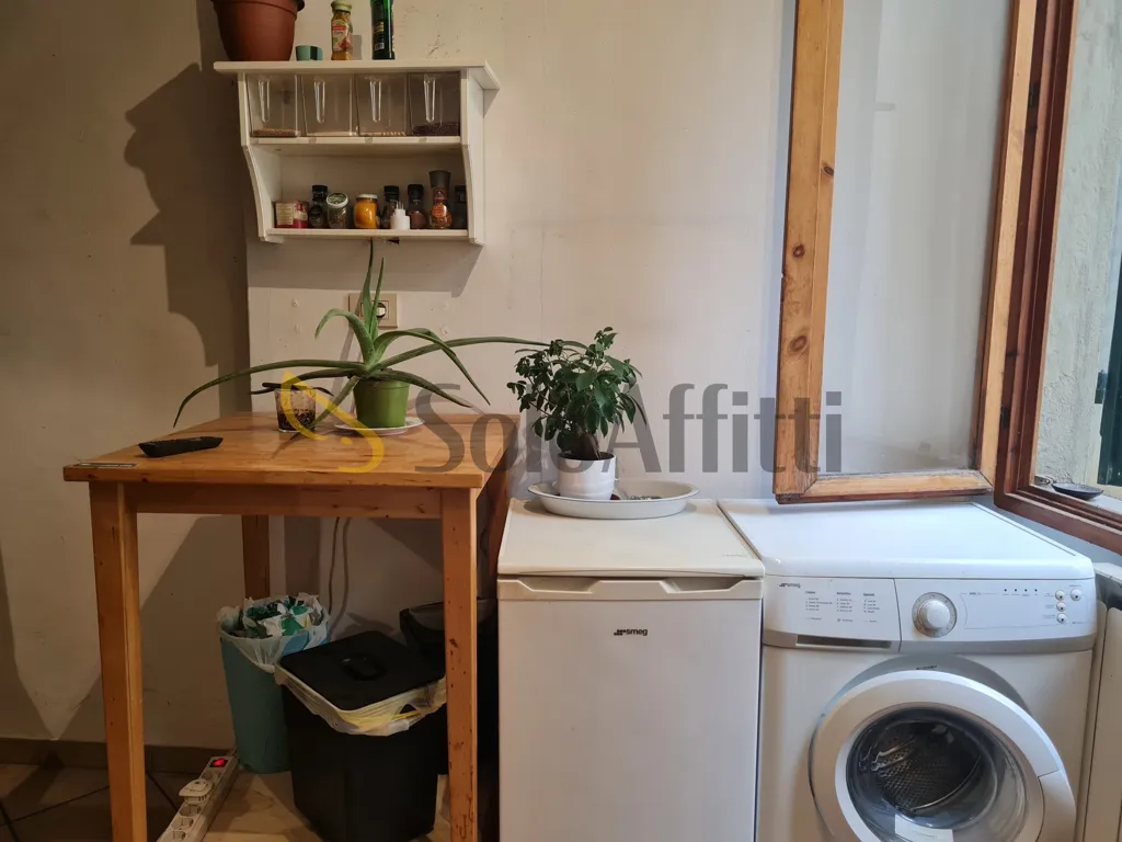 Pesuköök - Furnished Studio in Florence with Balcony
