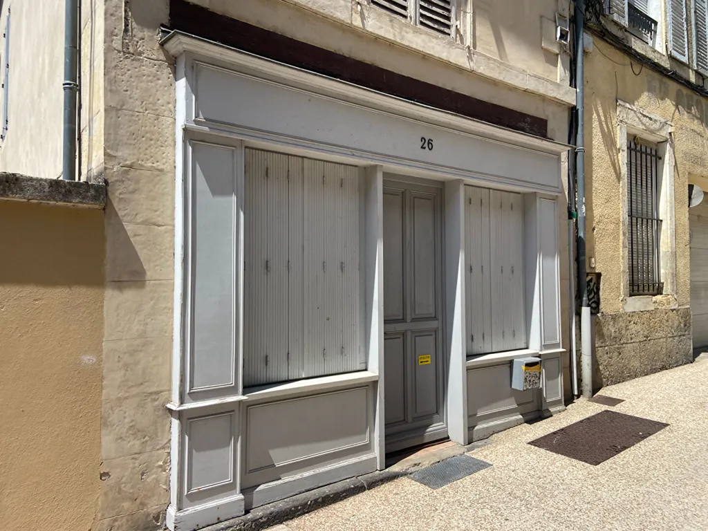 Välivaade - Renovated Flat in Cathedral Quarter, Nevers