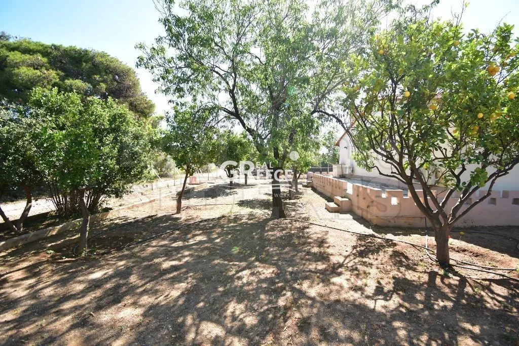 Jardin - Detached House with Terrace in Loutraki