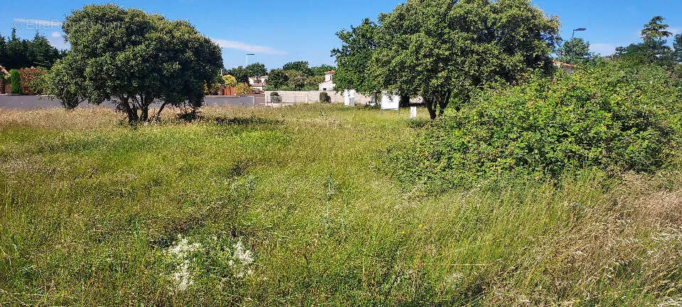 Jardin - Terrain avec Jardin à Avignon