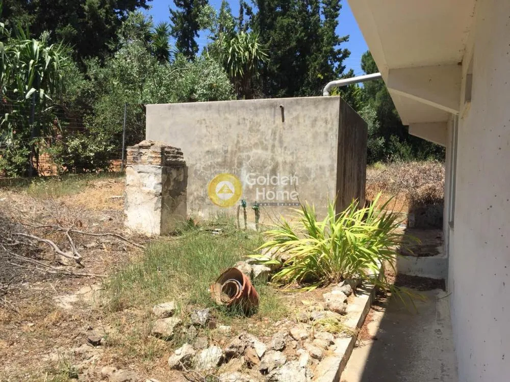Giardino - Villa with Garden in Eastern Attica