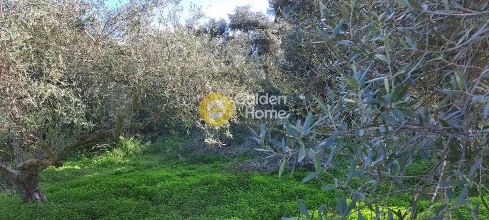 Jardin - Buildable Plot with Sea View in Elia