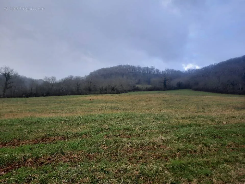 Terrain à Loubressac