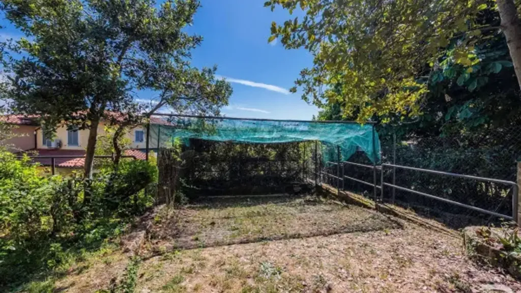 Aed - Luxury Villa with Olive Garden in Sinalunga