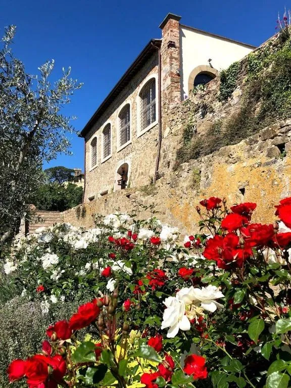 Exterior - Historic Villa with Panoramic Views in Florence