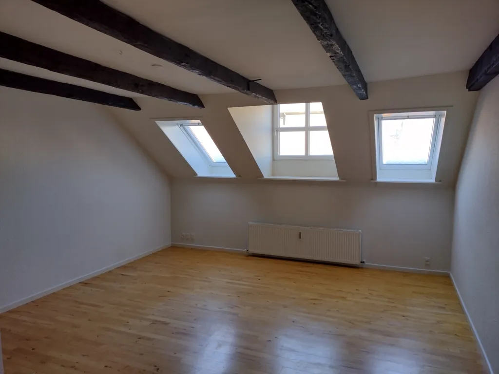 Toad - Two-Bedroom Flat in Odense C