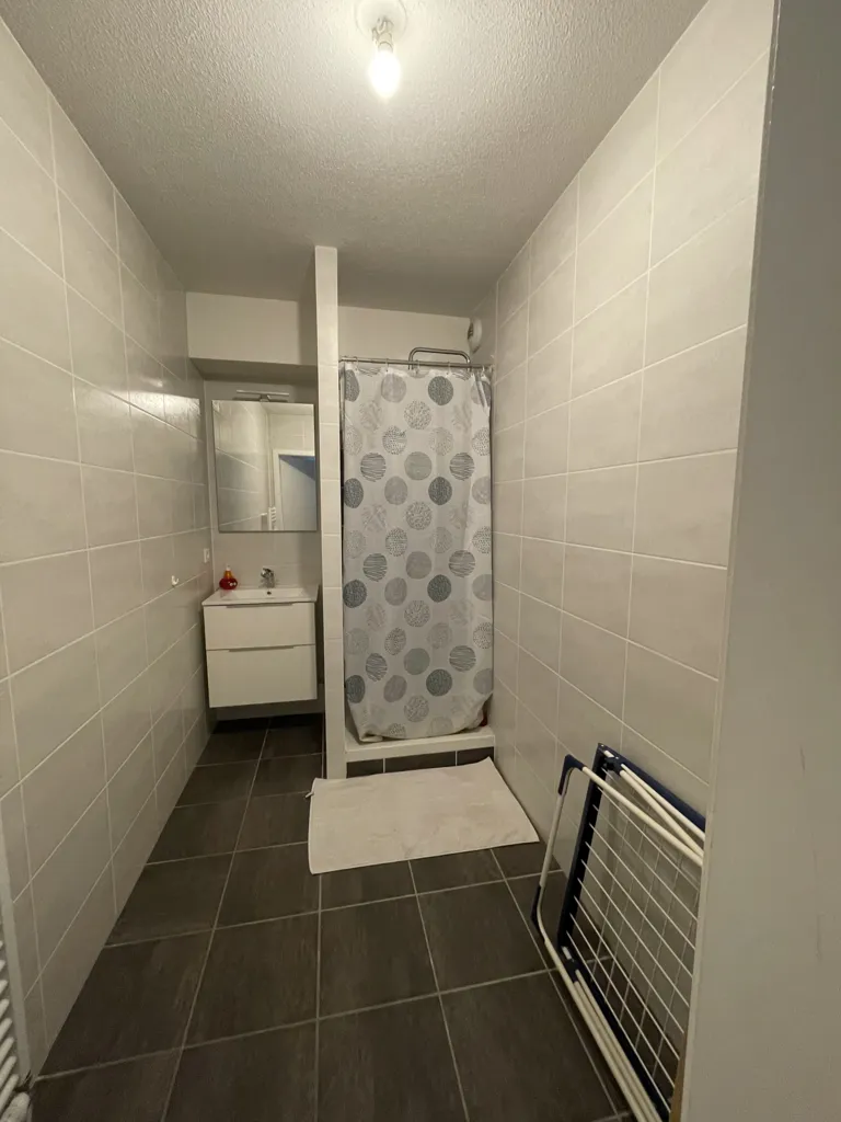 Salles de bain - Appartement Duplex avec Terrasse à Strasbourg