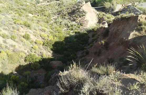 Jardin - Terrain à Nevada