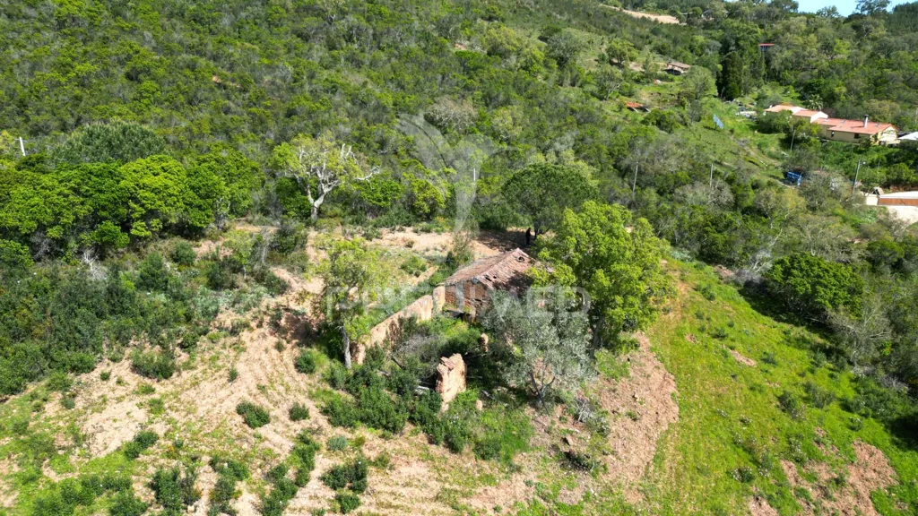 Õhuvaade - Rustic Quinta with Ruin in Alentejo